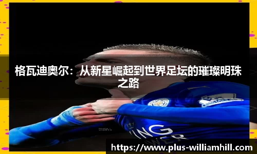 格瓦迪奥尔:从新星崛起到世界足坛的璀璨明珠之路